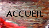 Accueil
