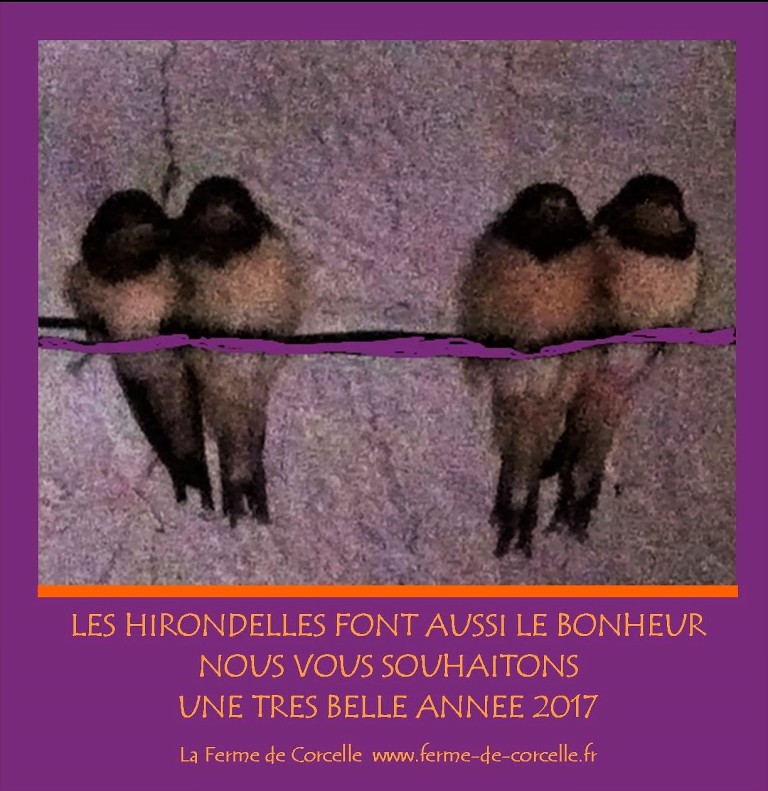 Voeux 2017