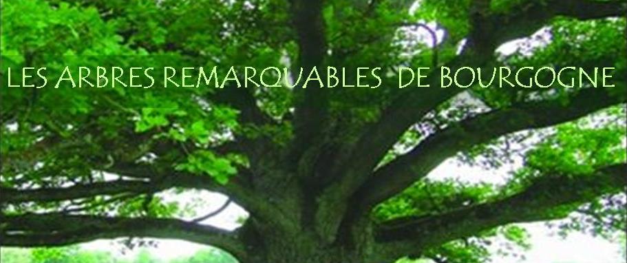 Outrebois/Yves Gauthey