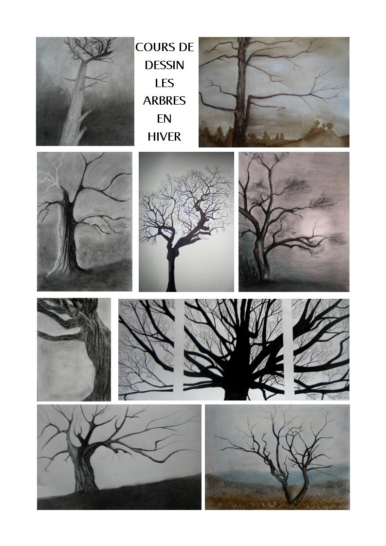 Arbres en hiver