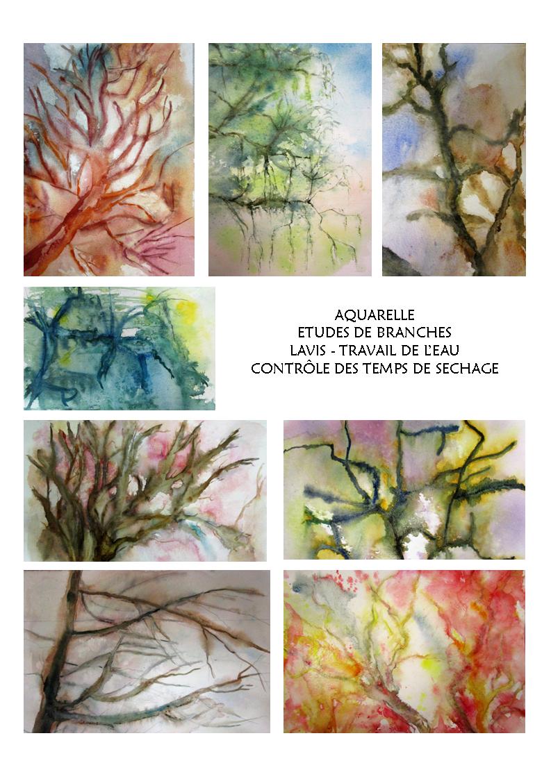 Etude de branches, aquarelle