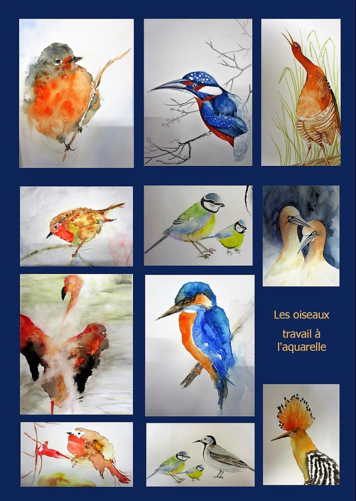 Aquarelle Oiseaux