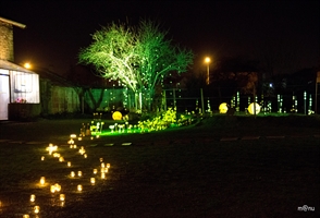 Expo jaune chemin  de lumière
