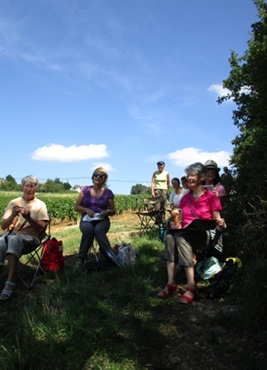 Groupe stage vignes