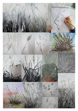Herbes folles graphisme