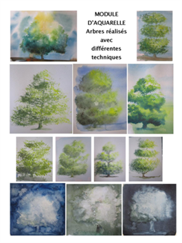 Photo tutti arbres
